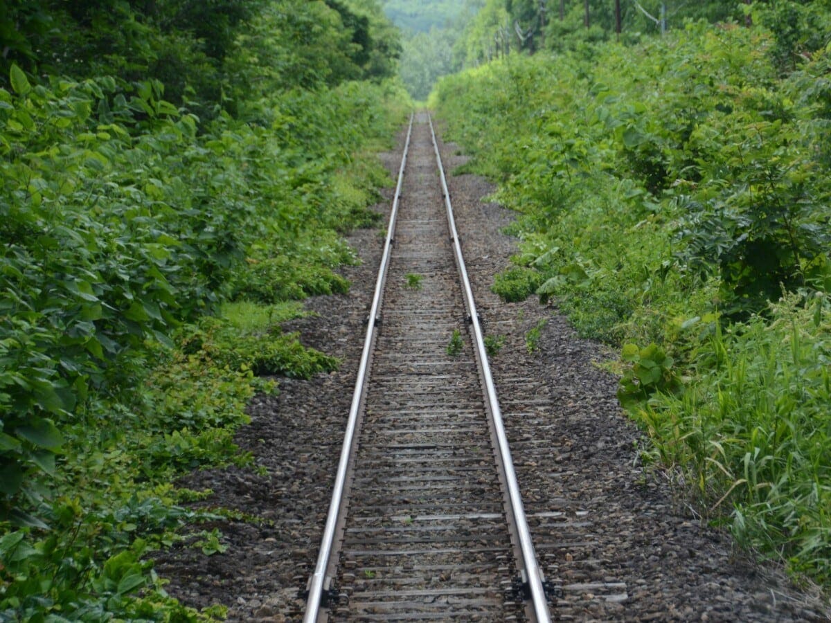 線路は続くよ、どこまでも（宗谷本線）