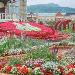 ミッフィーセレブレーション/提供画像