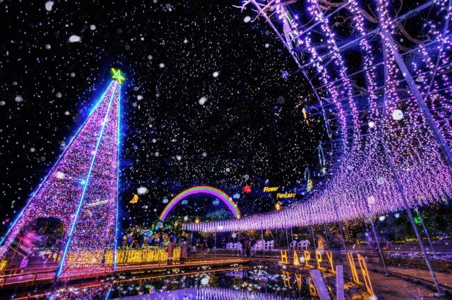 Flower Fantasy～光の花の庭2018～イメージ／画像提供：足利フラワーリゾート