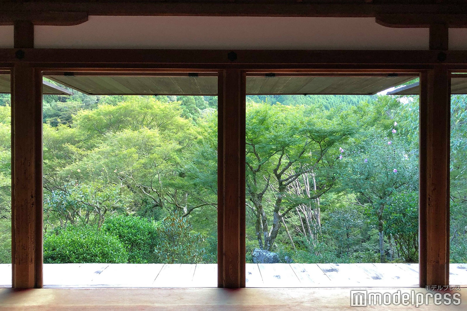 高山寺（C）モデルプレス