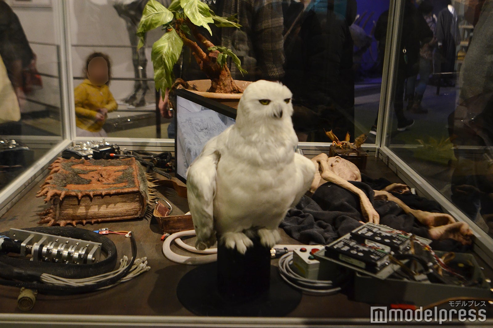 ワーナー ブラザース スタジオツアーロンドン - メイキング・オブ・ハリー・ポッター（C）モデルプレス Warner Bros. Studio Tour London – The Making of Harry Potter