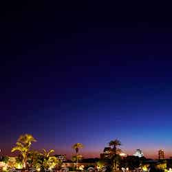 色とりどりのライトが幻想的な景色を生み出す/画像提供:ホテルニューオータニ大阪