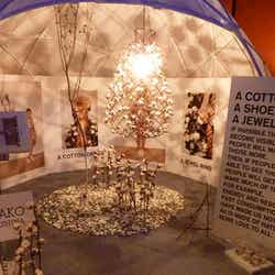 「ラフォーレファッションウィーク'11」より