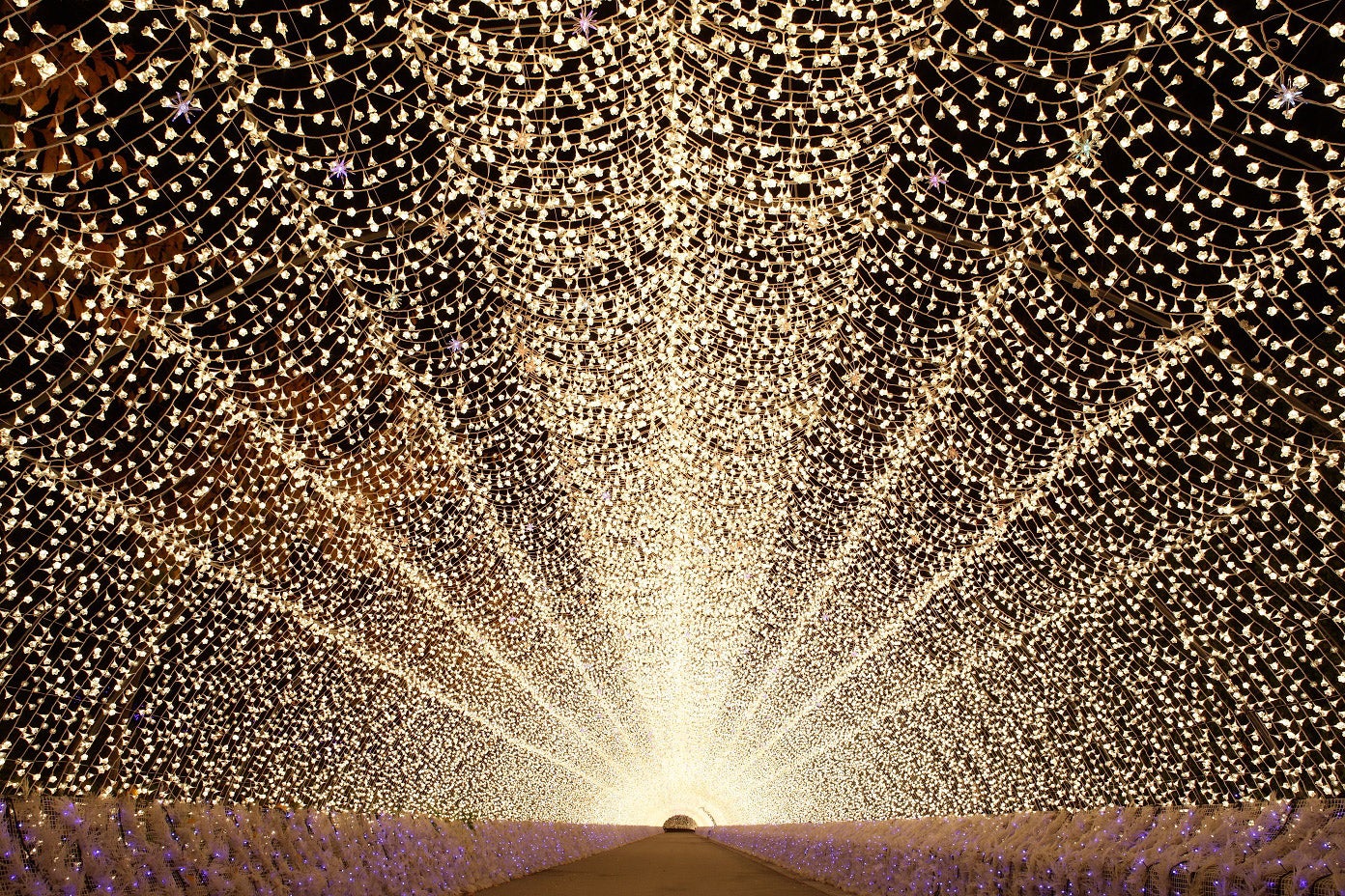 「なばなの里」イルミネーションにくまモン登場　熊本名物＆王道グルメも充実