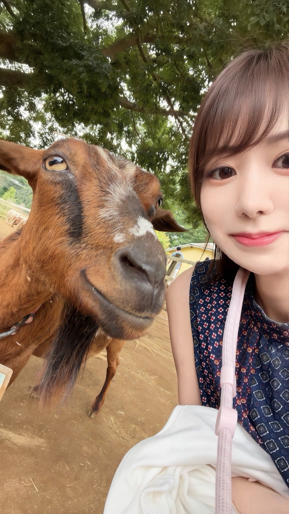 竹田えみり「1泊2日で楽しめるプチ旅がマイブーム」（提供写真）