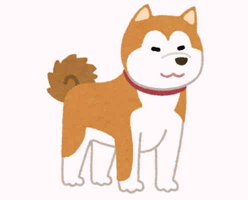 【Love Type 16】「忠犬ハチ公タイプ」のあなたへ!幸せになれる恋愛スタイルをご紹介♡