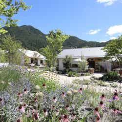 色とりどりの草花が咲くのどかな雰囲気の中で飲食&ショッピング(提供画像)