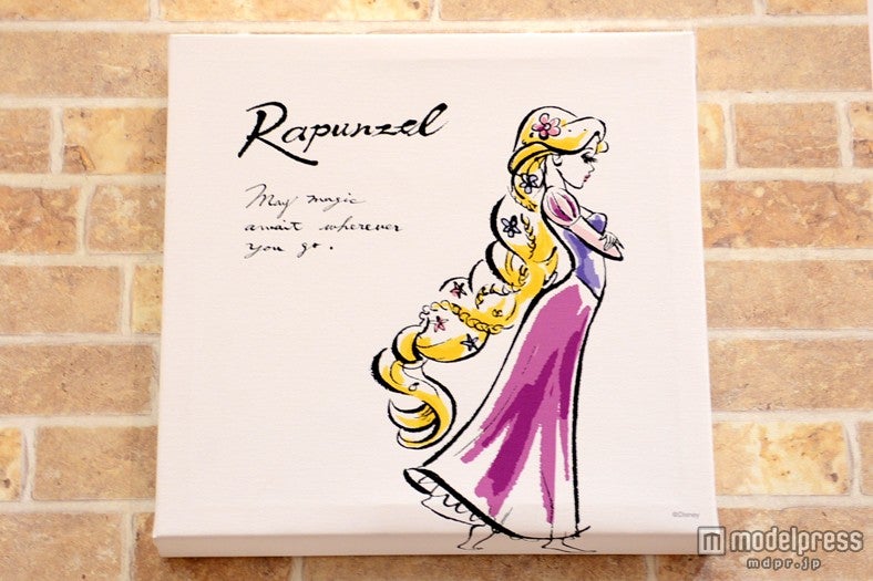 ZAKKA　Zone／ディズニーキャンバスパネル30角（￥3000＋税）サイズにより値段変動