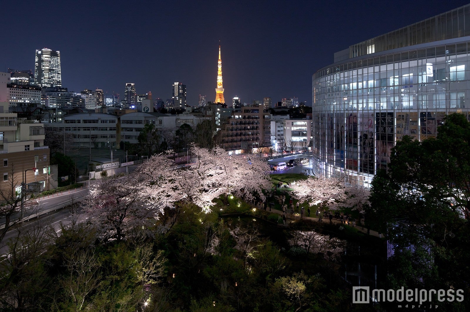 毛利庭園／画像提供：六本木ヒルズ