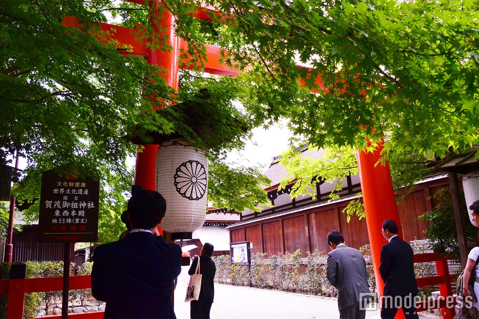 下鴨神社（C）モデルプレス