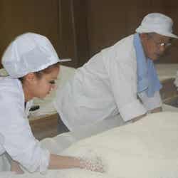 日本酒造りに奮闘する今泉宏美