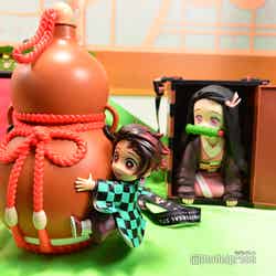 炭治郎のひょうたんポップコーンバケツ~みたらし味~5,500円(C)モデルプレス