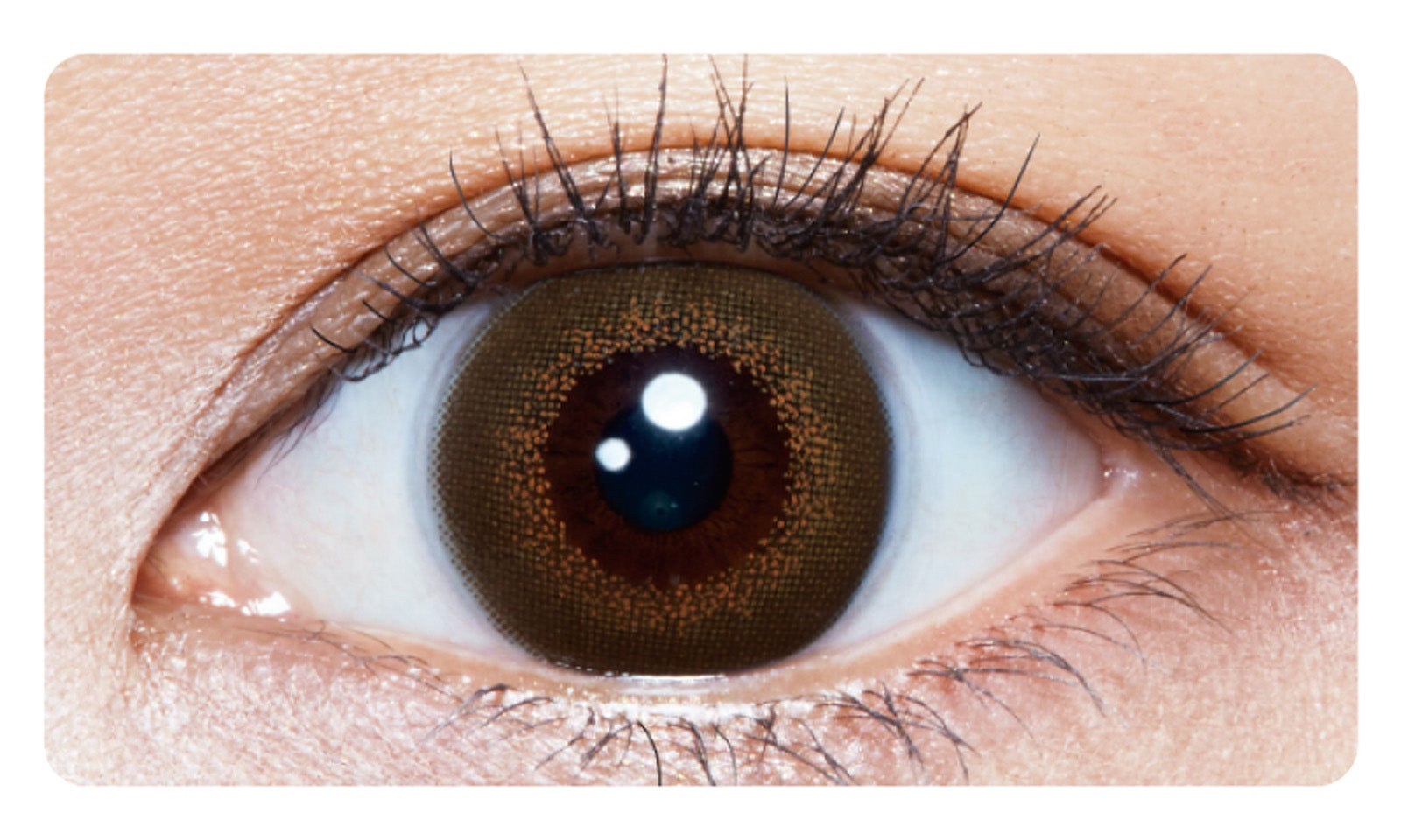 1DAYメニコン Rei Illumi Brown（着色外径：13.3mm／着色内径：6.5mm）