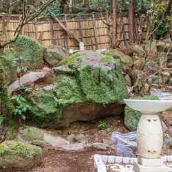 Surf Republic湯河原万葉公園 IZUMI Forest ソロ・グランピング/提供画像