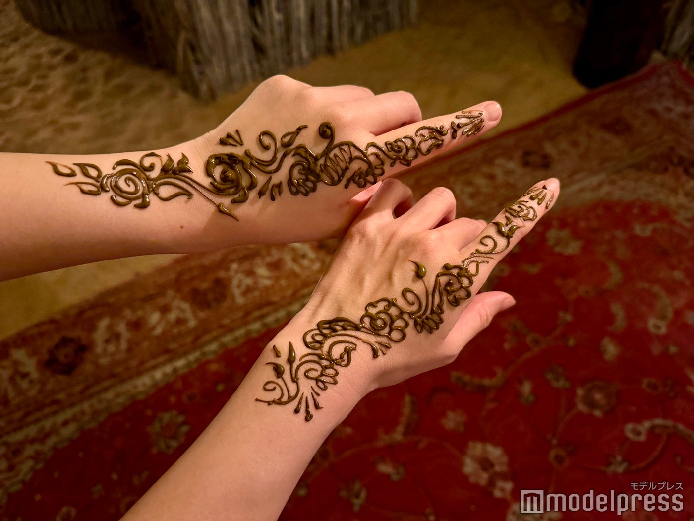 砂漠ツアー(C)モデルプレス