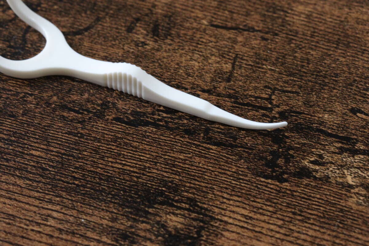 Y字型糸つきようじ（14本）　ピック部分