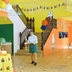 エブリデイ ・セレブレーションキッチン/ミッフィー・ワンダースクエア(C)モデルプレス