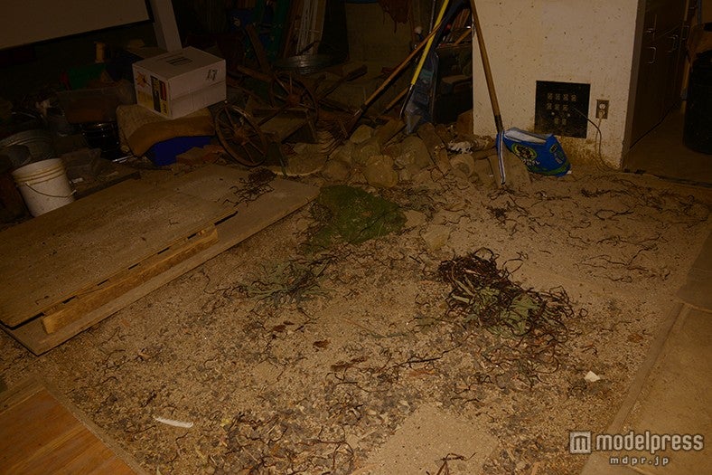 臨場感溢れる音を生み出す音響スタジオ