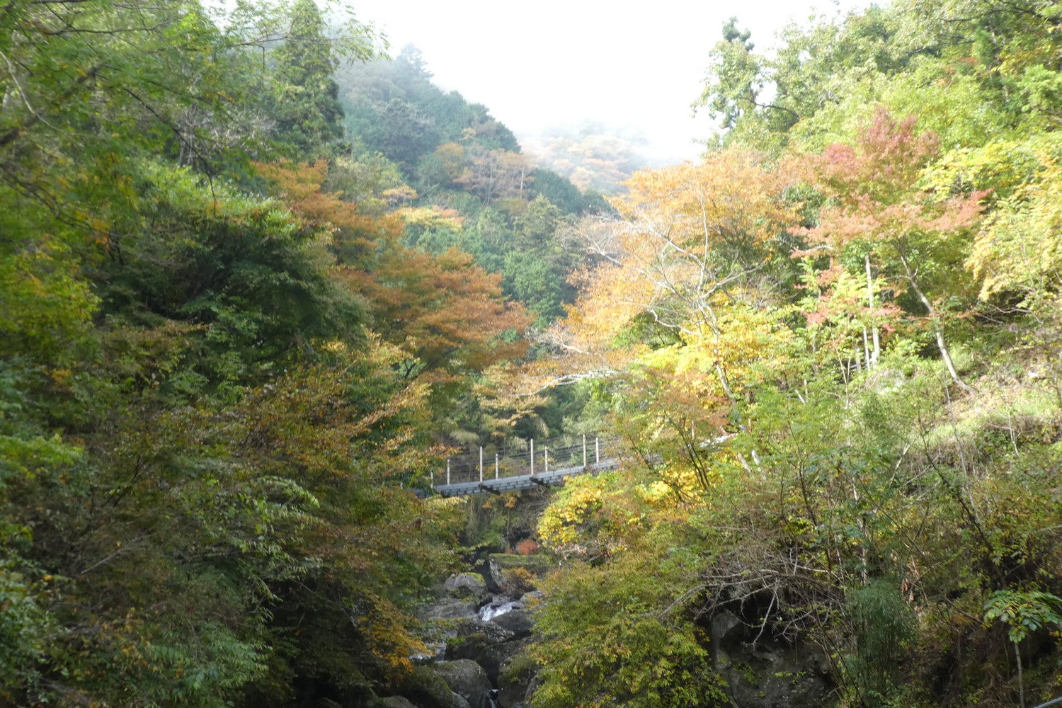 やませみ橋（提供画像）