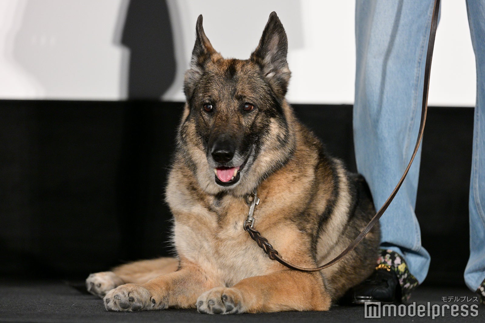 さくら（C）モデルプレス