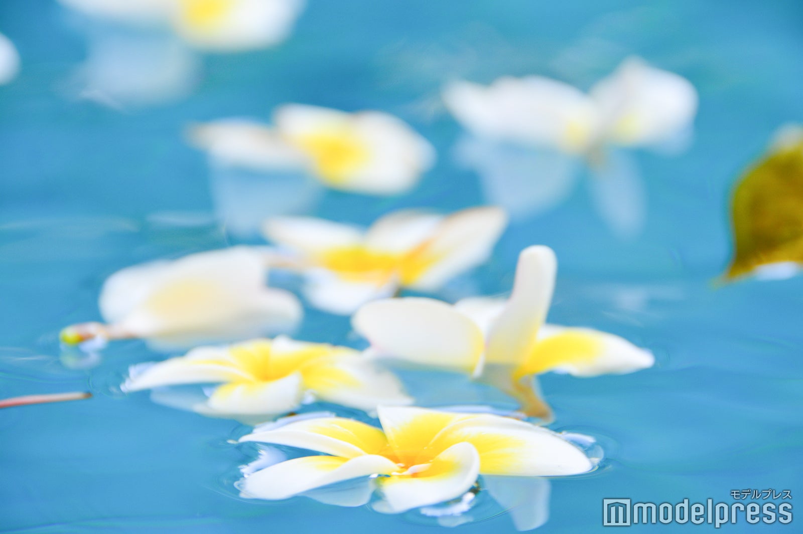 お部屋のプールでのんびり（C）モデルプレス