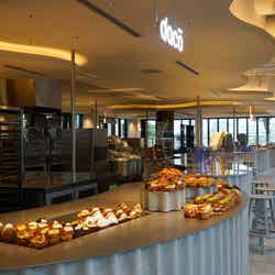 ダコー(提供写真)