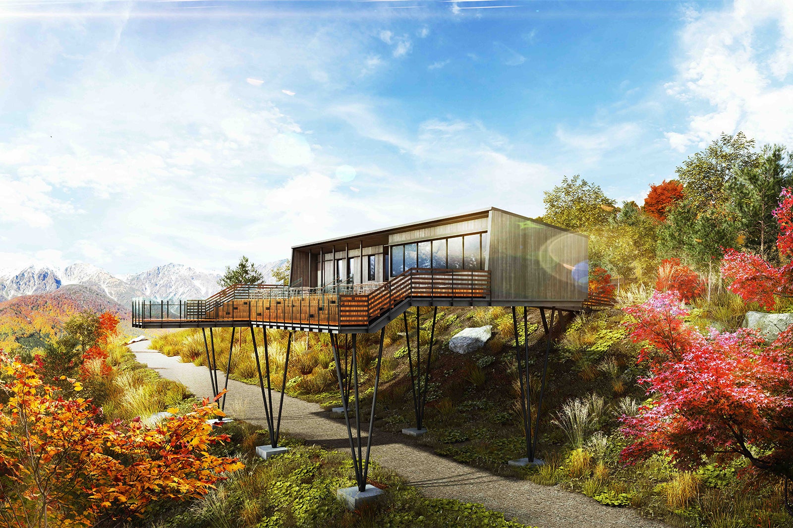 希少な三段紅葉を一望！長野に絶景テラス「ハクバマウンテンハーバー」が誕生