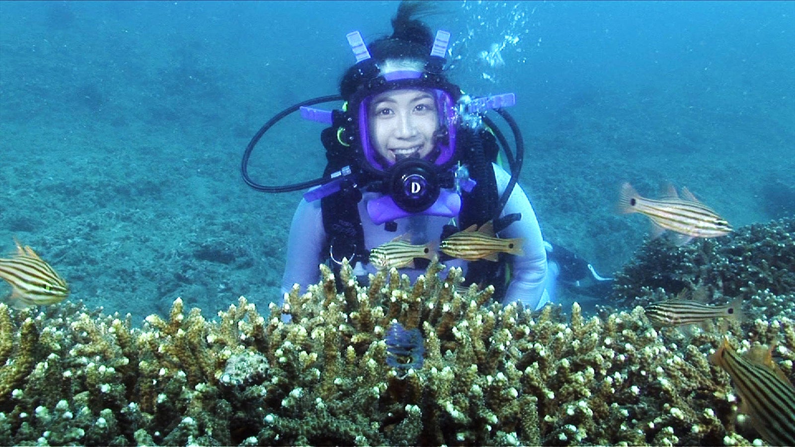 AKB48大家志津香、絶滅疑惑のレア生物を発見