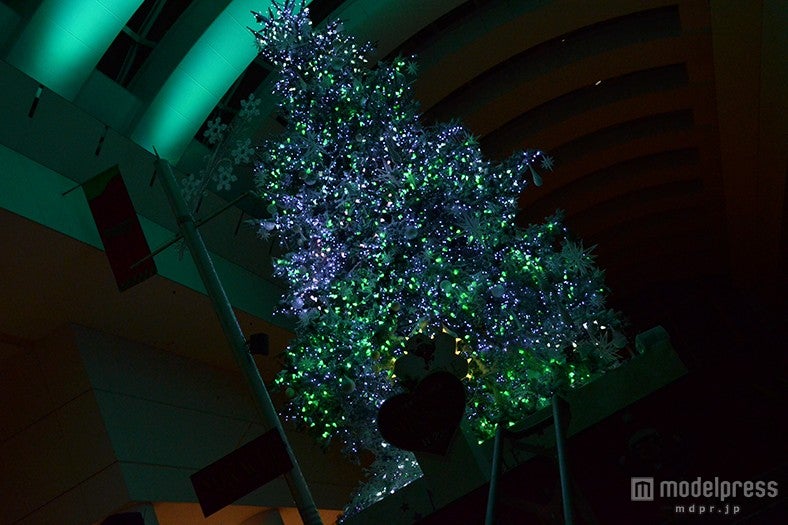 色の変化にうっとり