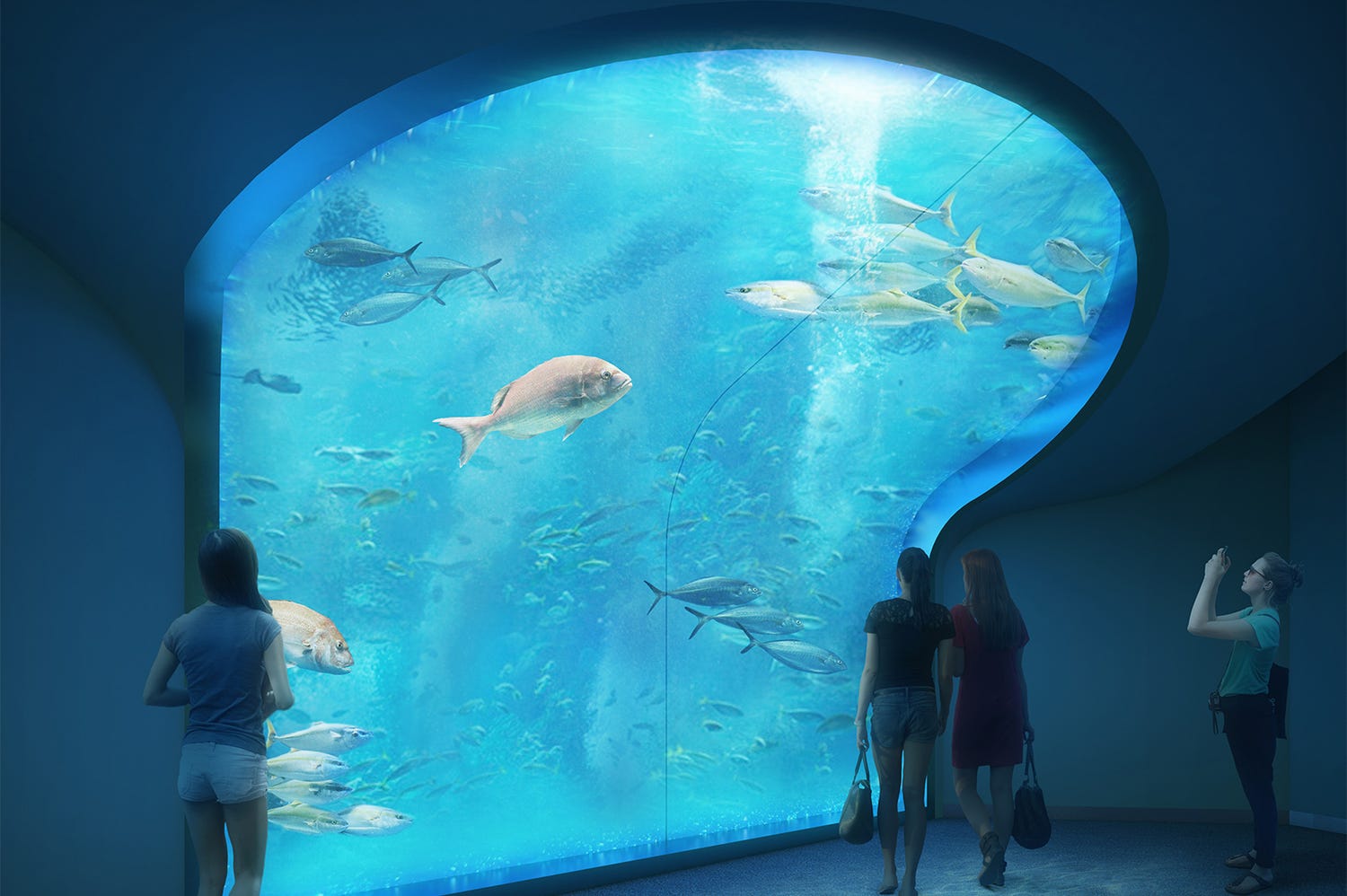 四国水族館、正式オープン延期に 四国在住者限定で営業へ