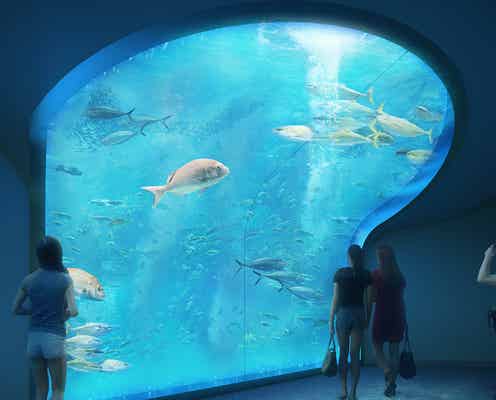 四国水族館、正式オープン延期に 四国在住者限定で営業へ