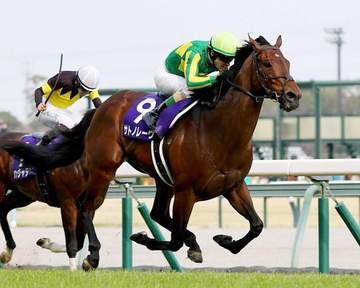 サトノレーヴ電撃引退 25、26年高松宮記念連覇 社台スタリオンSで種牡馬入り