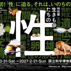 メインビジュアル/提供画像