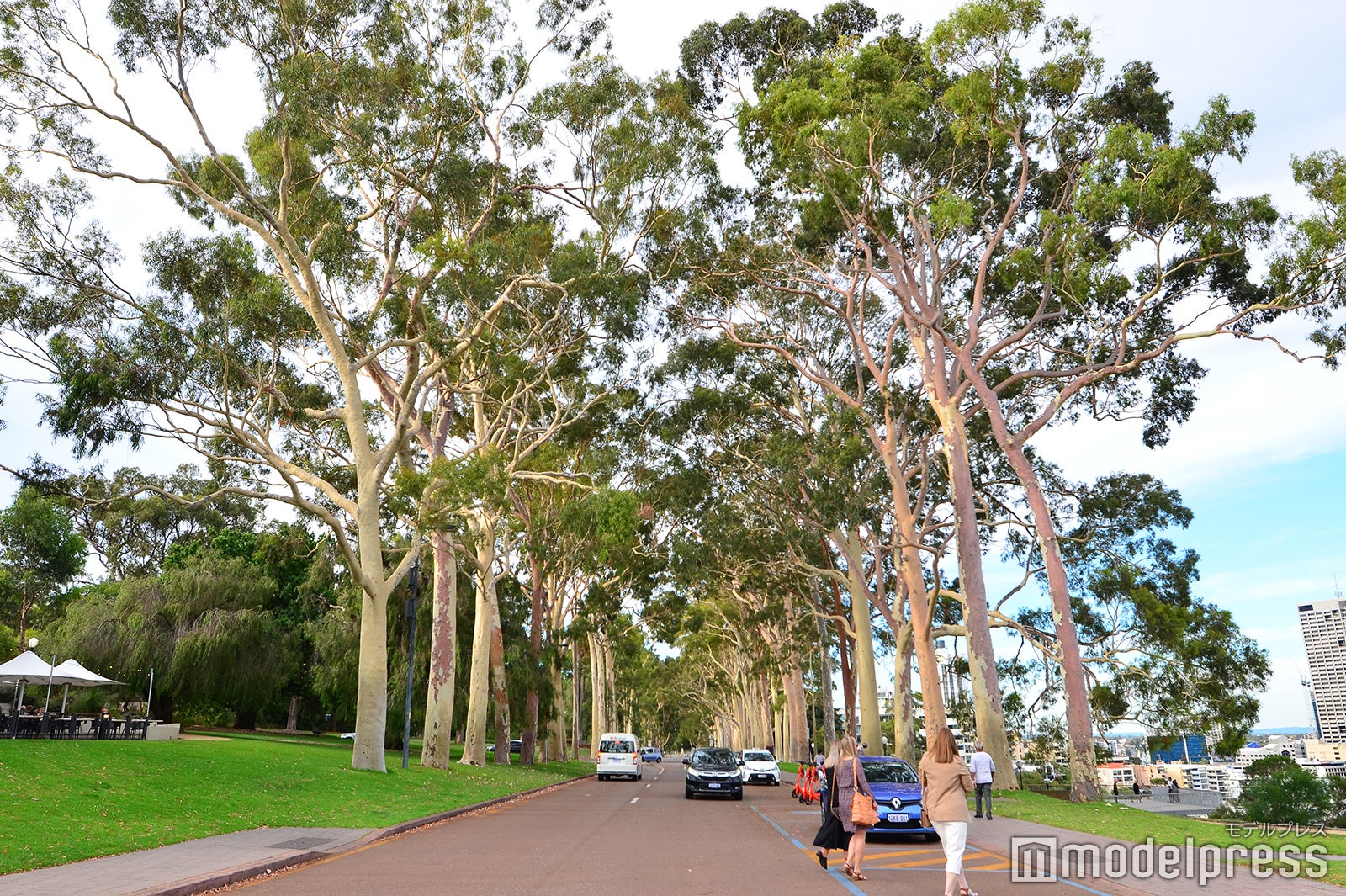 パース（C）モデルプレス