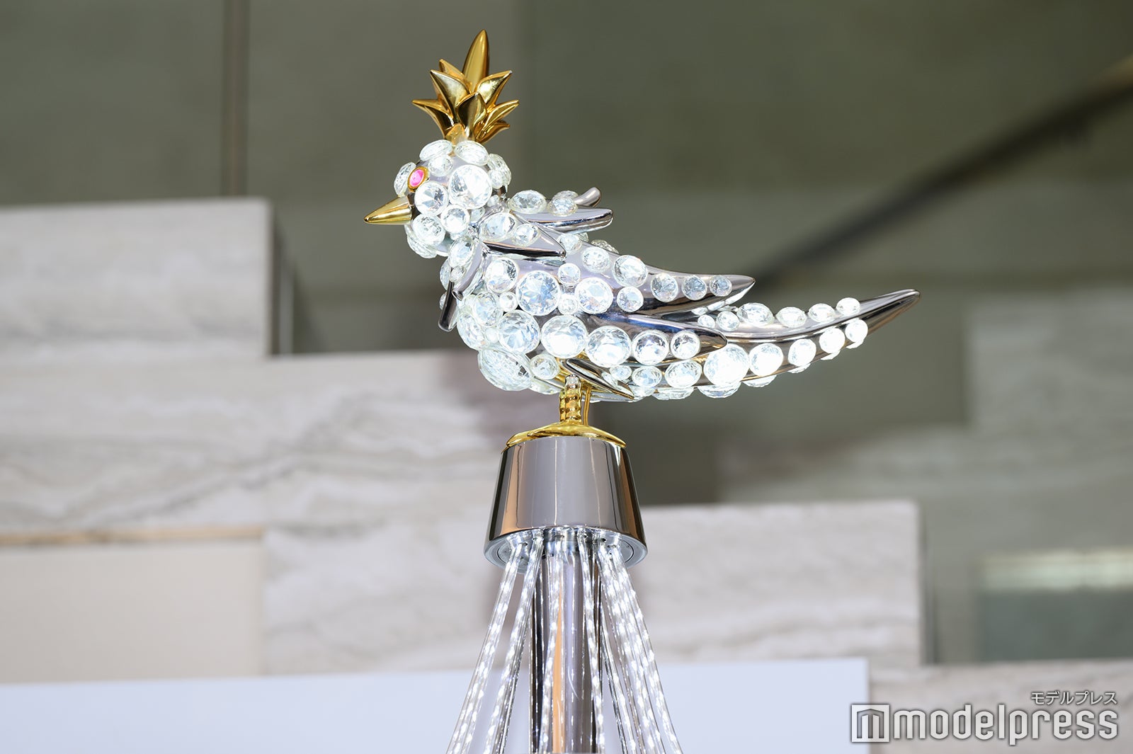 （C）モデルプレス