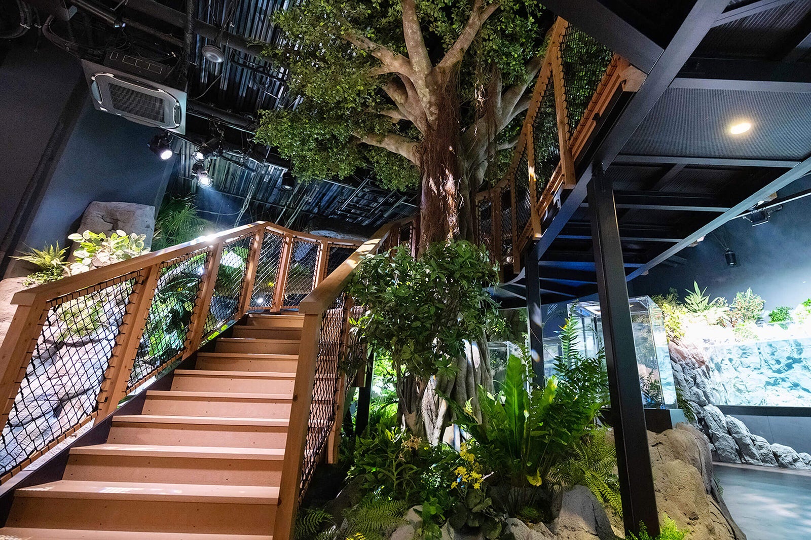 DMMかりゆし水族館（提供画像）