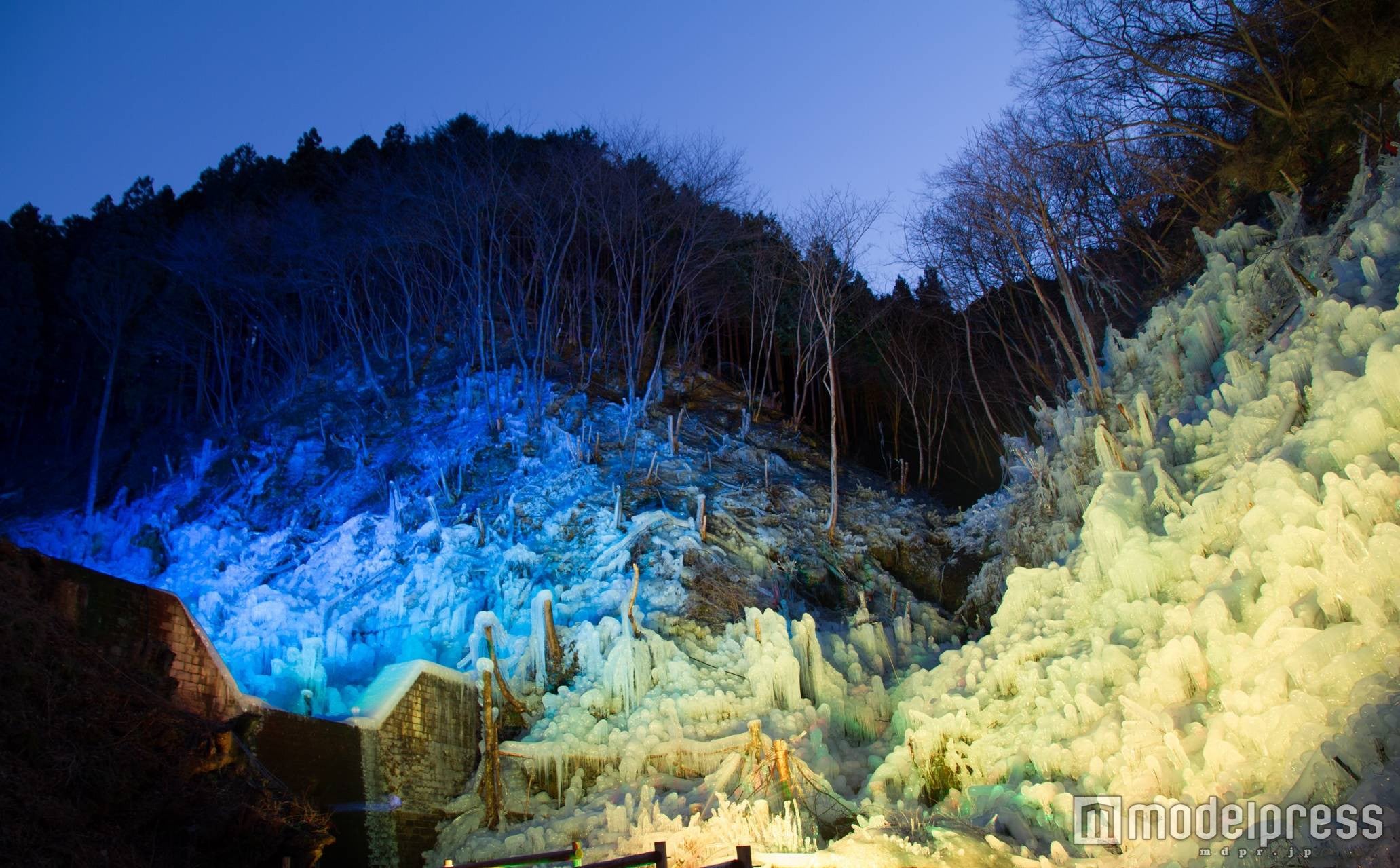 「あしがくぼの氷柱」ライトアップ／画像提供：西武鉄道
