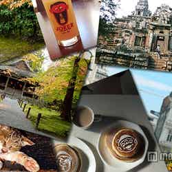 今すぐマネしたい!旅行写真のお洒落な活用術