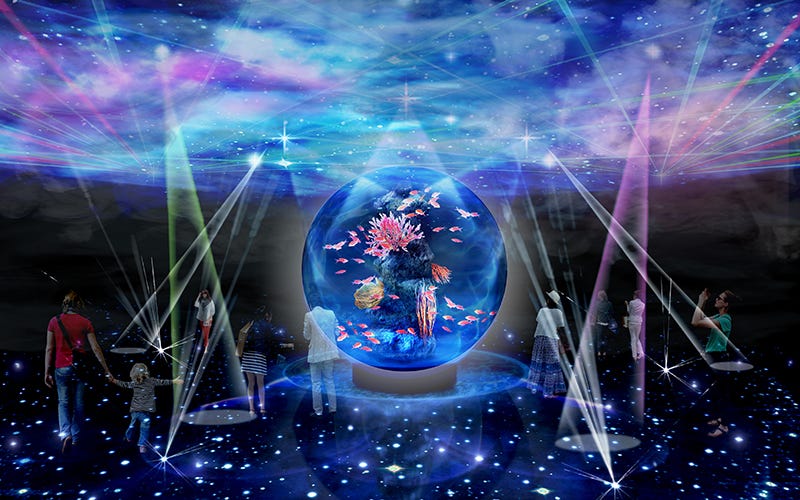 神戸に新感覚水族館「アトア」いきもの×アートが融合する幻想的な8つの世界