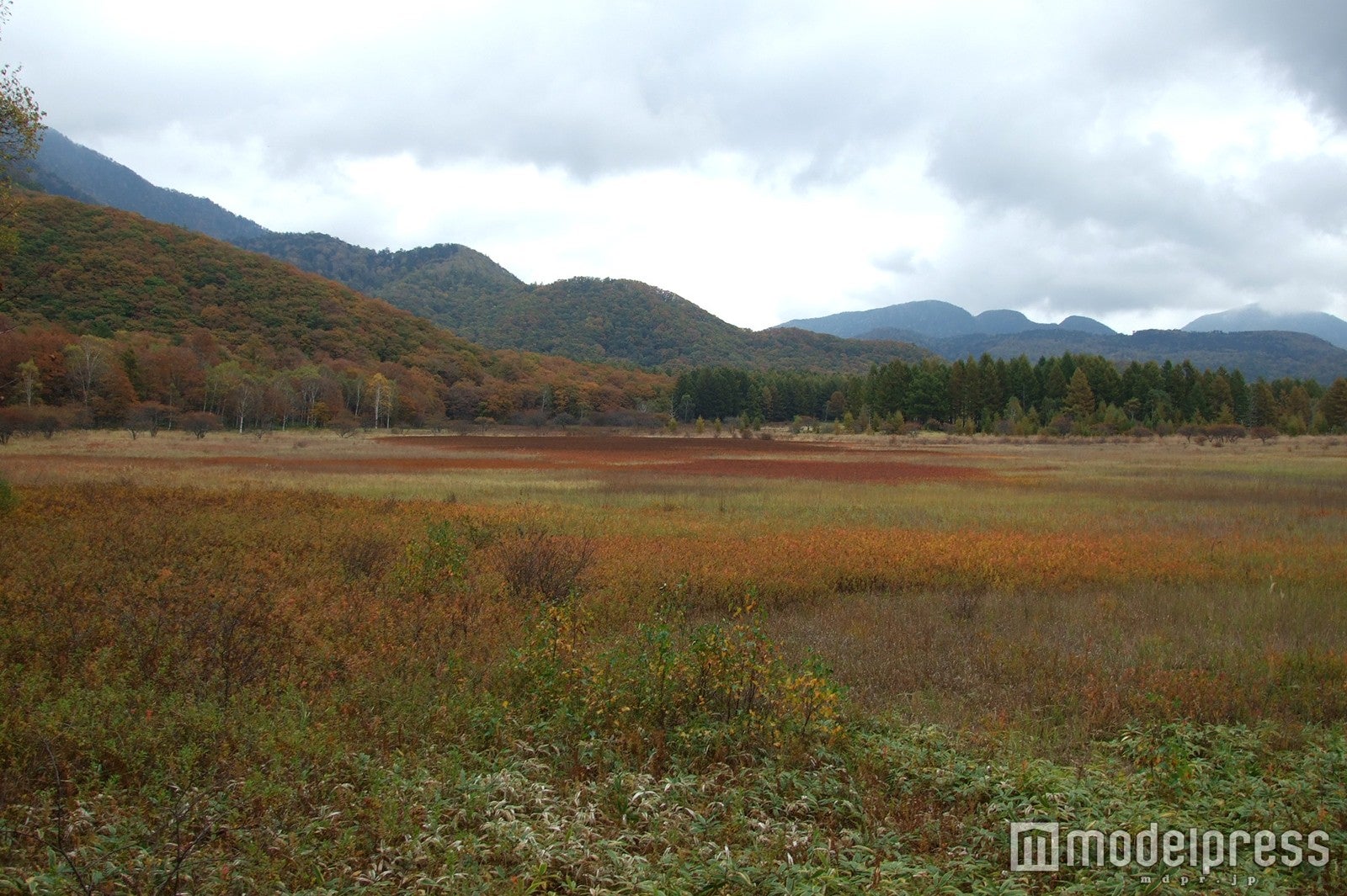 小田代が原／画像提供：日光市観光情報発信センター
