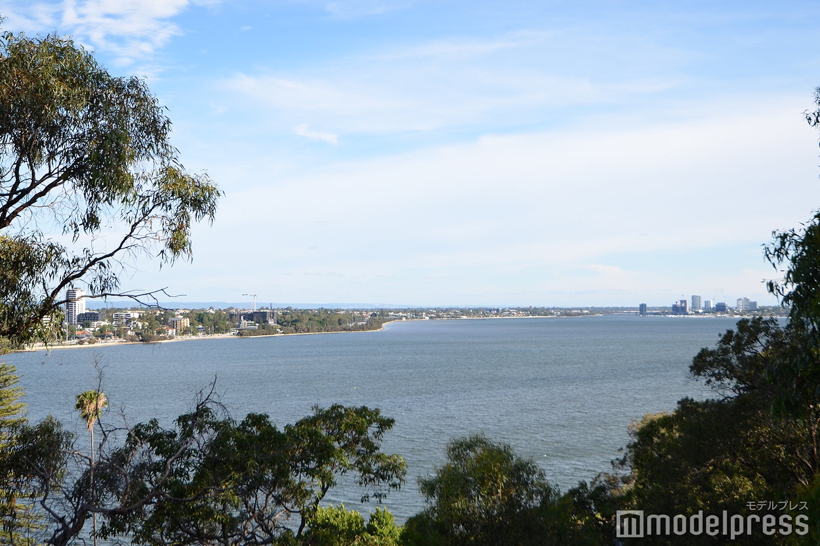 パース（C）モデルプレス