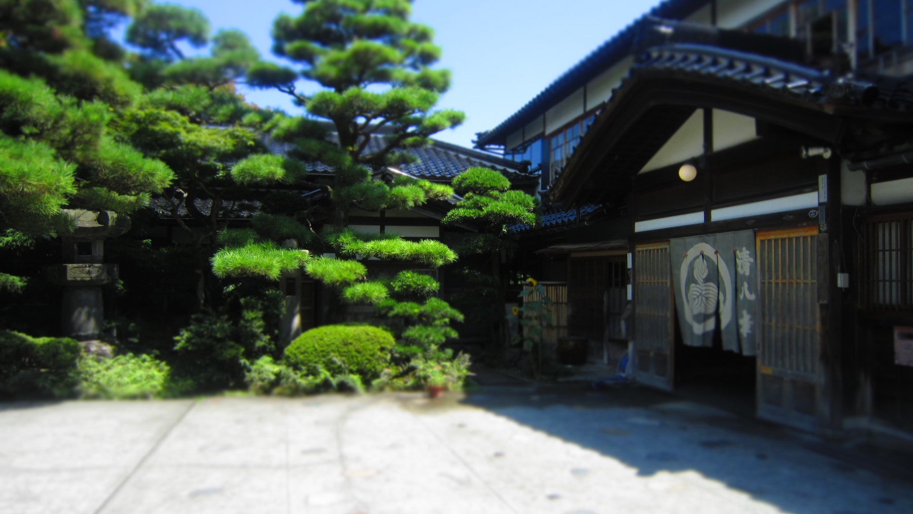 清八楼／提供画像