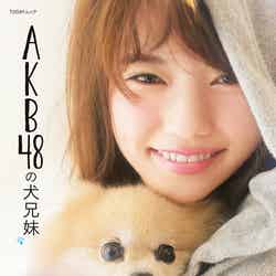 「AKB48の犬兄妹」（主婦と生活社、2014年6月30日発売）表紙：島崎遥香
