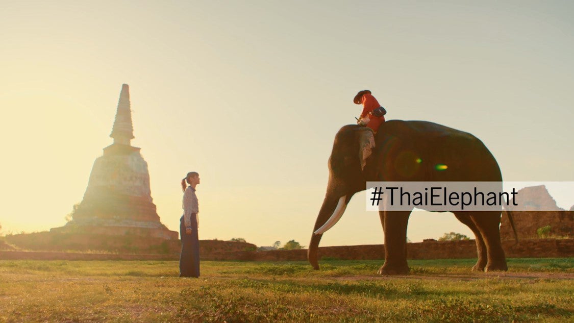 アユタヤ・バンコク （提供画像）