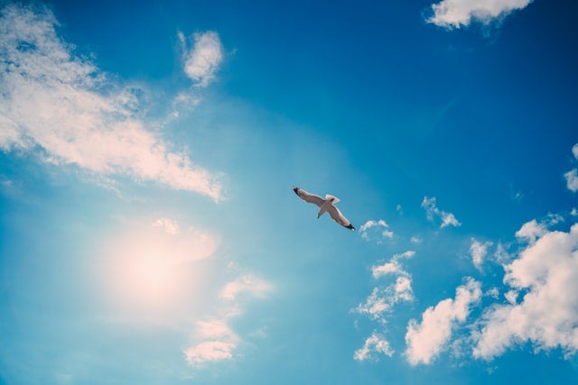 心理テスト 空を飛ぶならどうやって飛びたい あなたの恋愛の特徴 モデルプレス