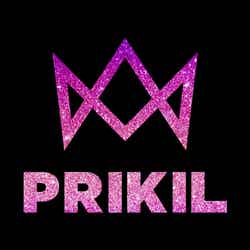 PRIKIL（C）WIP Project