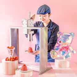 Strawberry Nostalgia/提供画像