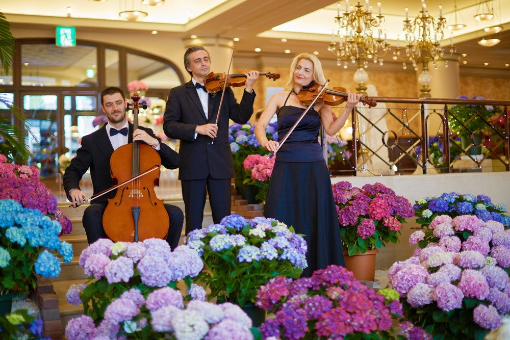 あじさい祭／画像提供：ハウステンボス