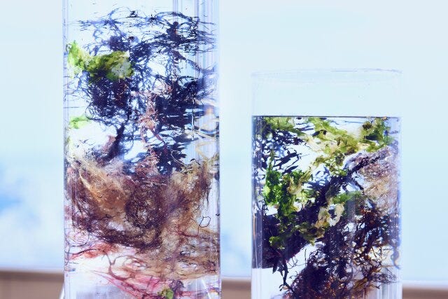 星野リゾート リゾナーレ熱海 星野リゾート リゾナーレ熱海