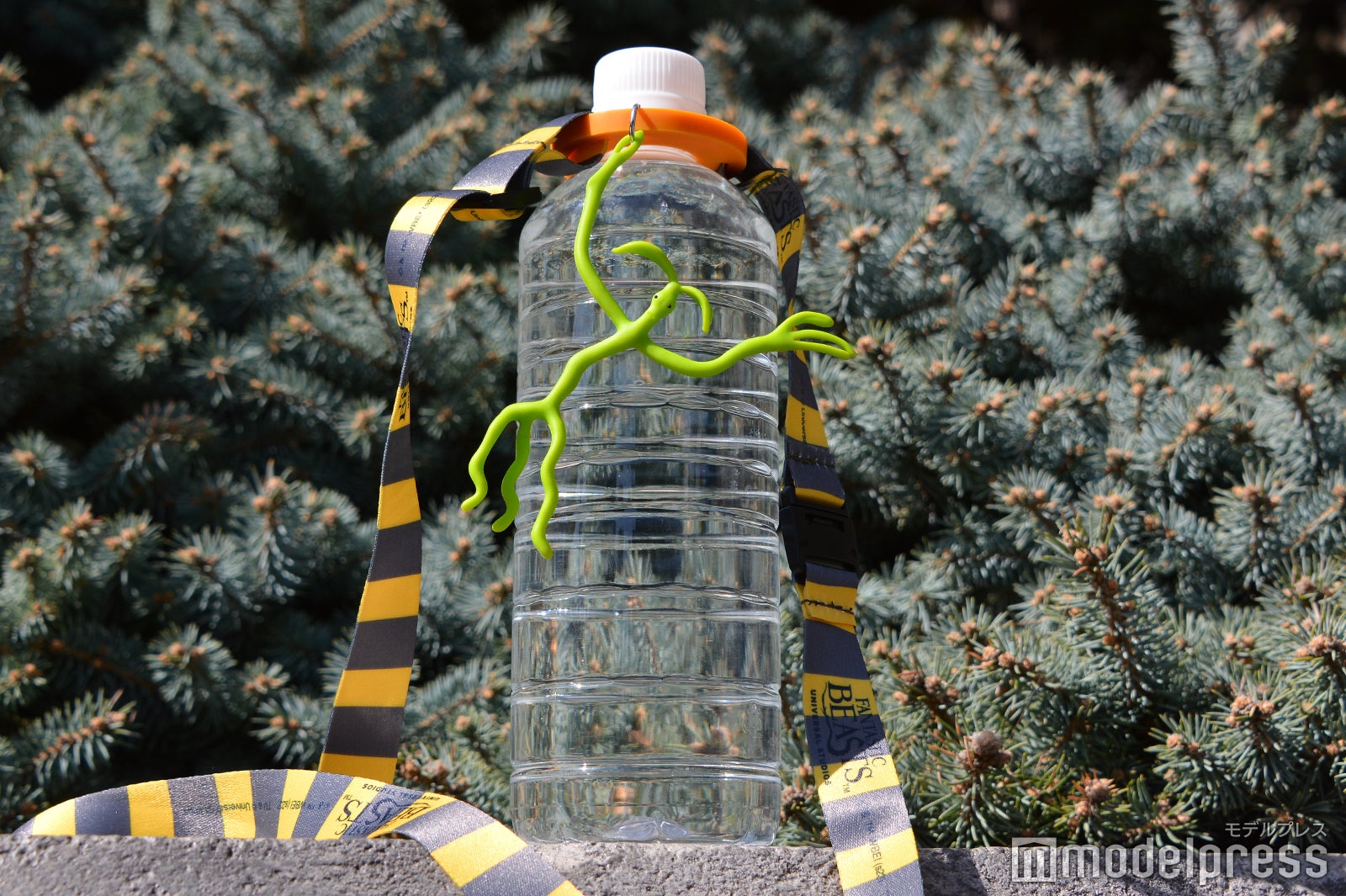 ボウトラックル・ボトルストラップ（C）モデルプレス